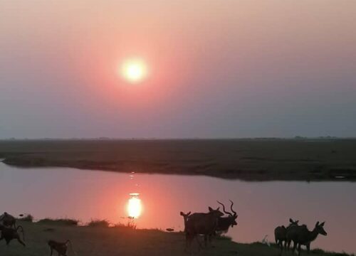 Escorted or hosted tours