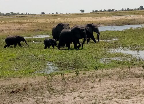 Transfers and car hire services