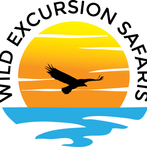 Wild Excursion Safaris